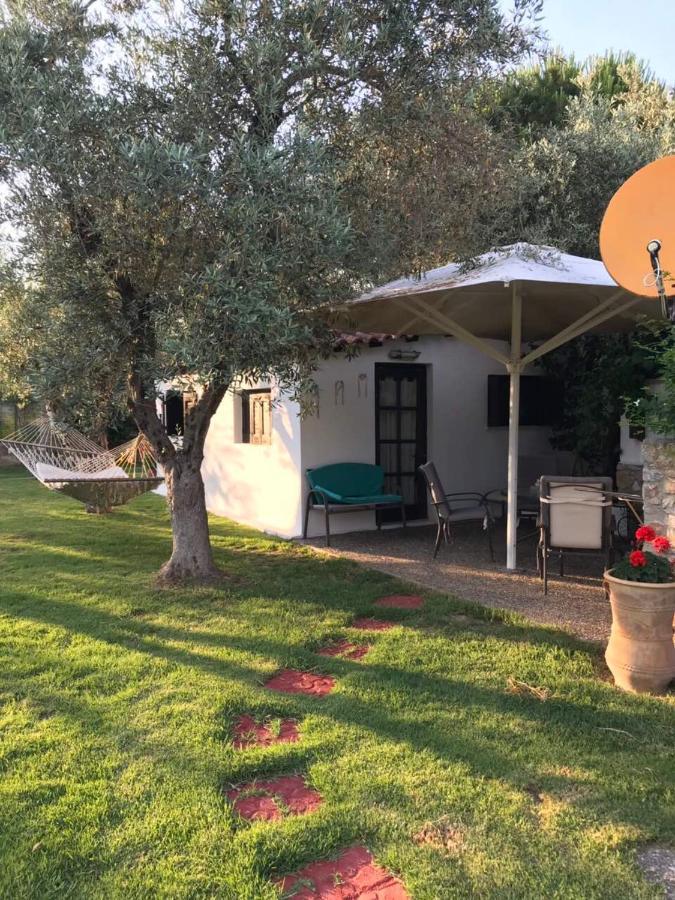 Oasis Aparthotel Skiathos Town Bagian luar foto
