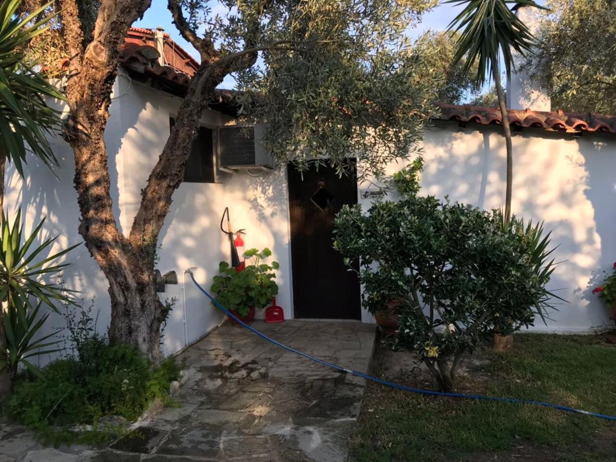 Oasis Aparthotel Skiathos Town Bagian luar foto